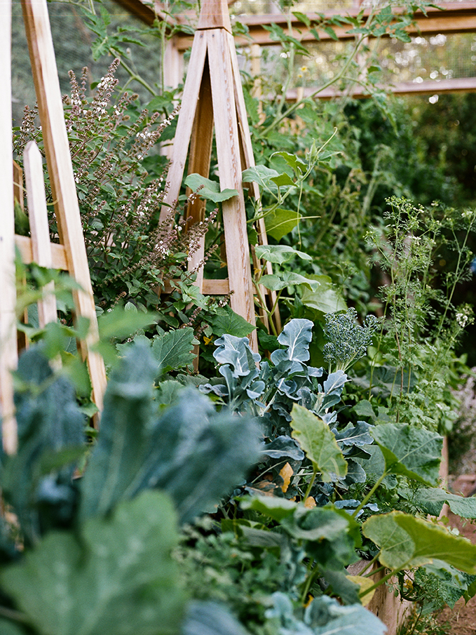 Gardens | Edible Gardens LA